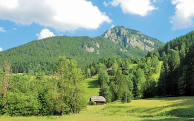 Virnikov Grintavec, 3.8.2024