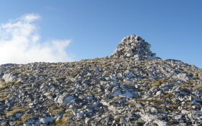 Dleskovec, 12.7.2025