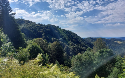 Izlet na Mrzlico – 18.10.2025