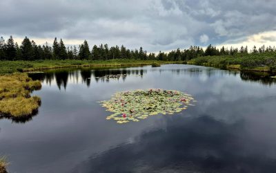 Ribniško jezero 5.9.2026
